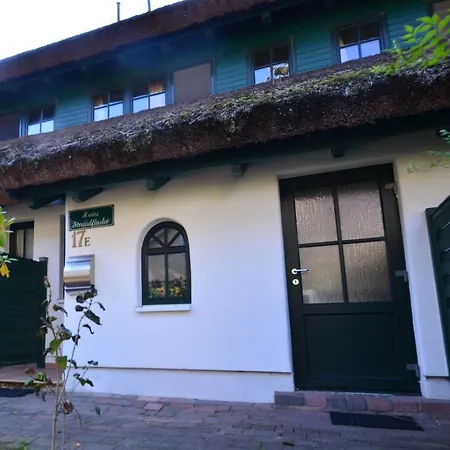 Ferienhaus-strandflieder-in-gross-zicker-halbinsel-moenchgut Groß Zicker