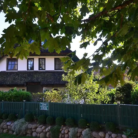 Ferienhaus-strandflieder-in-gross-zicker-halbinsel-moenchgut Tatil Evi *