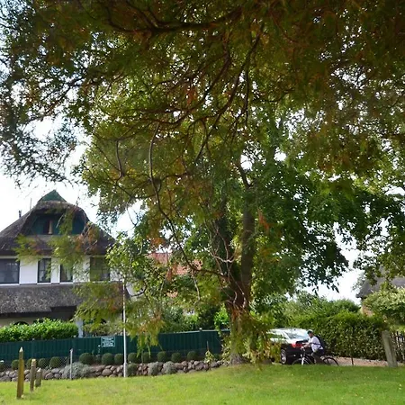 Ferienhaus-strandflieder-in-gross-zicker-halbinsel-moenchgut Tatil Evi