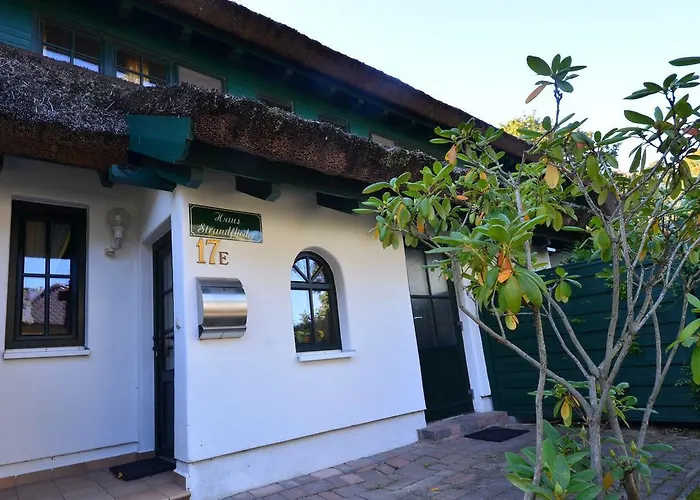 度假居 Ferienhaus-strandflieder-in-gross-zicker-halbinsel-moenchgut *
