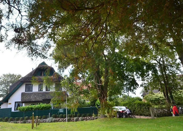 Ferienhaus-strandflieder-in-gross-zicker-halbinsel-moenchgut 度假居